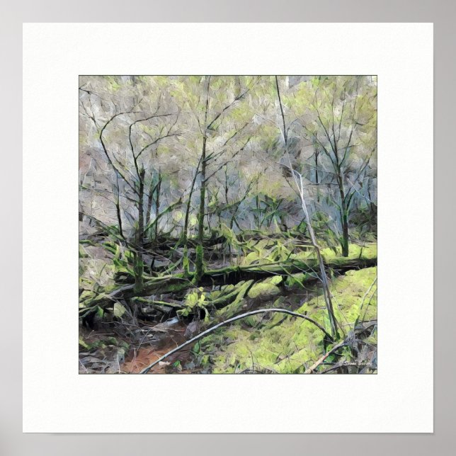 Poster Mossy Forest (Frente)