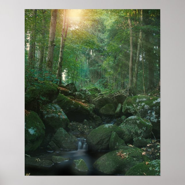 Poster Mossy Woodland Stream (Frente)