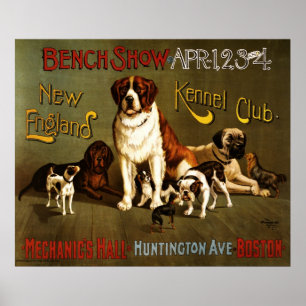 Póster Mostra de banco do clube do canil de Nova