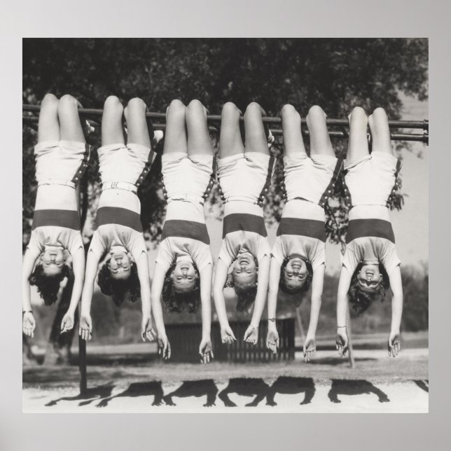 Poster Mostradores em bares de macacos, designs brincalhã (Frente)