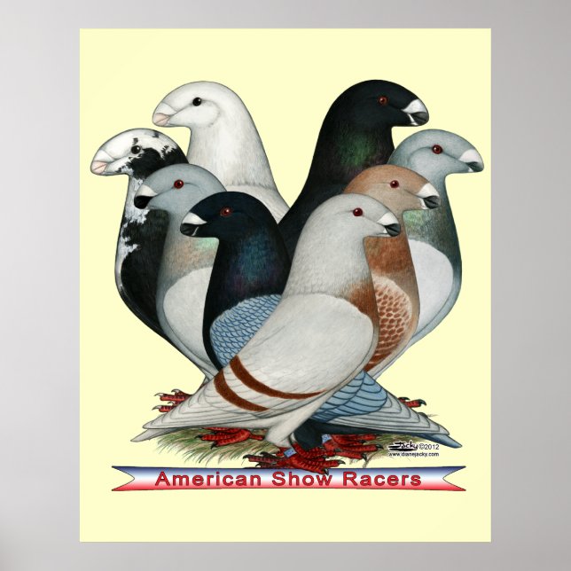 Póster Mostrar Raios Oito (Frente)