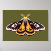 Moth Insect Art Goblincore Saturnia Witchy Green