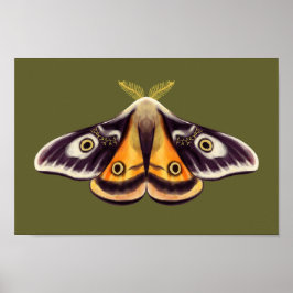 Poster Moth Insect Art Goblincore Saturnia Witchy Green
