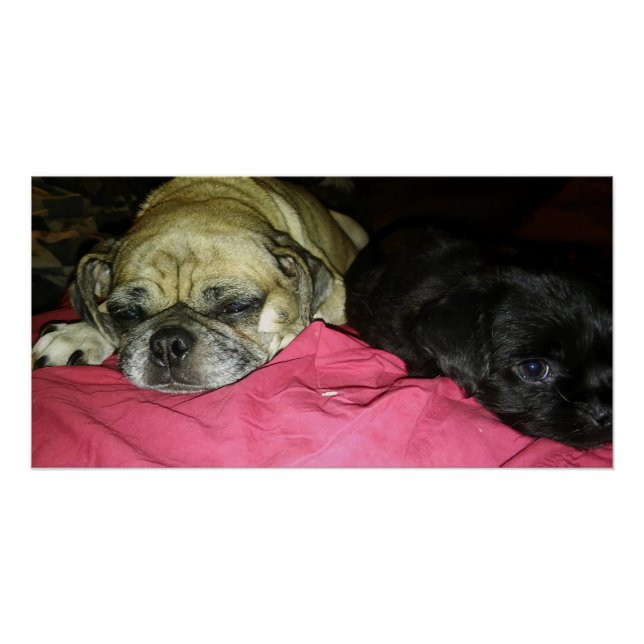 Póster Mother and Son (Frente)