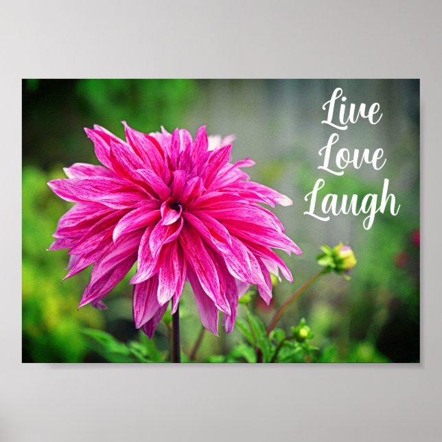 Poster Motivação da Flor Elegante Rosa Dahlia Garden (Frente)