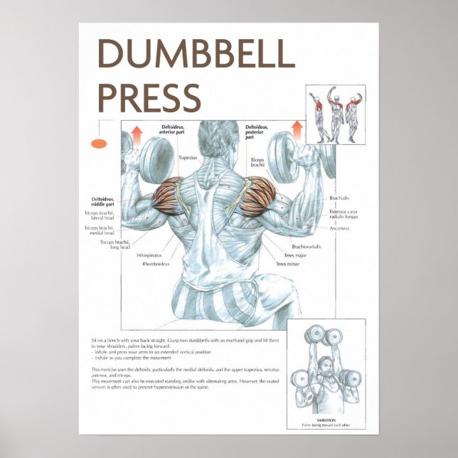 Póster Motivação de Workout (Frente)