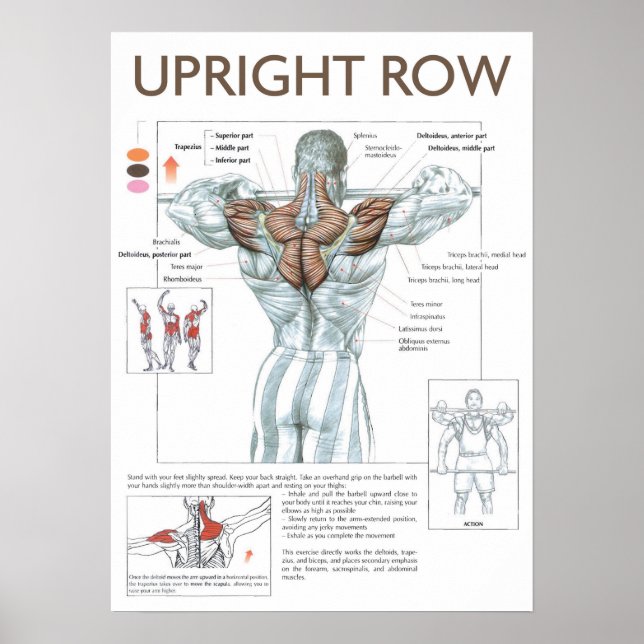 Poster Motivação de Workout (Frente)