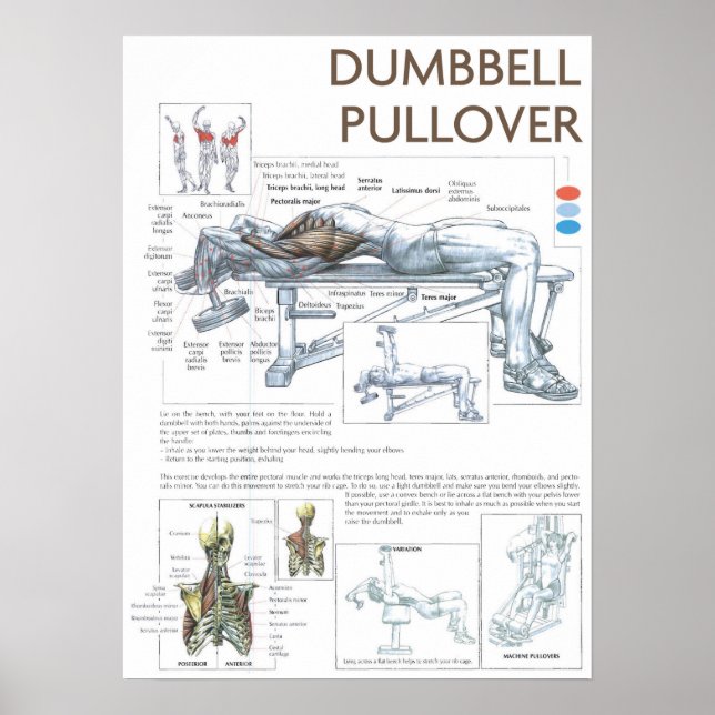 Poster Motivação de Workout (Frente)