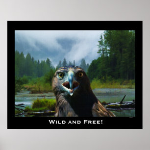 Poster Motivação do rio Bald Eagle e Misty Alaskan