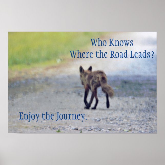 Poster Motivação Fox (Frente)