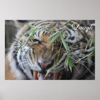 Póster Motivação, Motivação, Ria