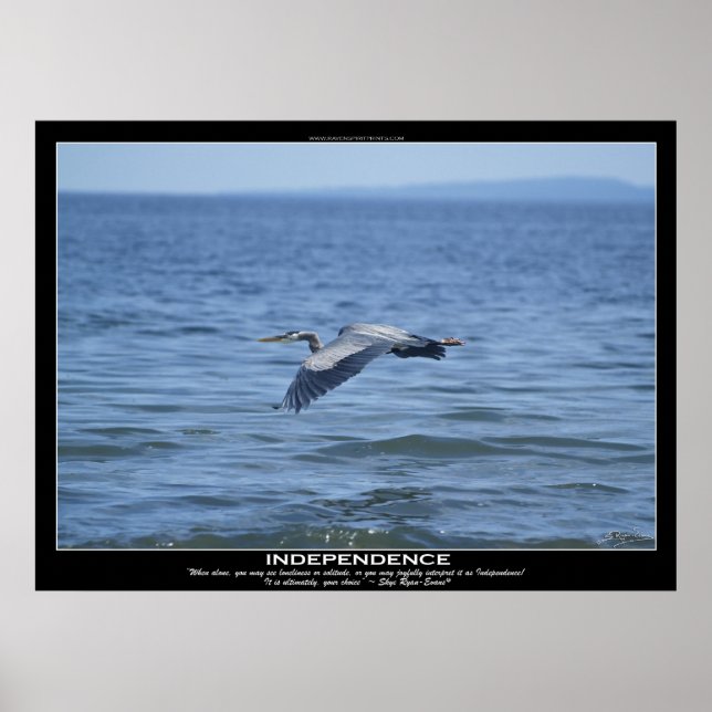 POSTER Motivacional Heron Azul Excelente de INDEPE (Frente)