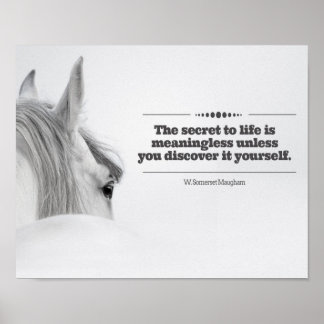 Poster Motivacional "O Segredo à Vida..."