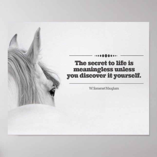 Poster Motivacional "O Segredo à Vida..." (Frente)