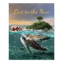 Motivational Turtle Cote ao Vivo no Agora