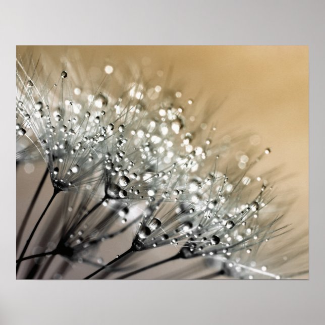 Póster Motivos de Dandelion Khaki (Frente)