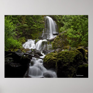 Poster Mount Rainier Waterfall