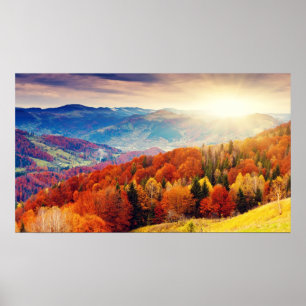 Póster Mountain autumn forest landscape