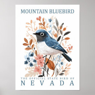 Poster Mountain Bluebird Bird