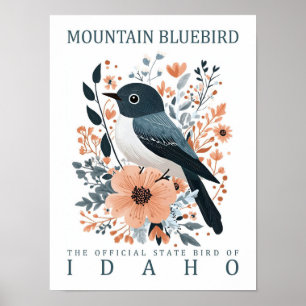 Poster Mountain Bluebird Bird of Idaho USA Viagem