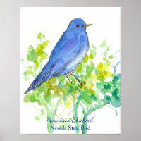 Mountain Bluebird Nevada State Watercolor