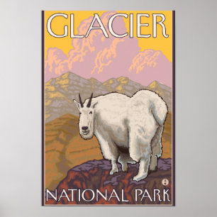 Póster Mountain Goat - Glacier National Park, MT