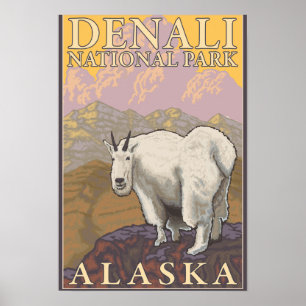 Póster Mountain Goat - Parque Nacional Denali, Alasca