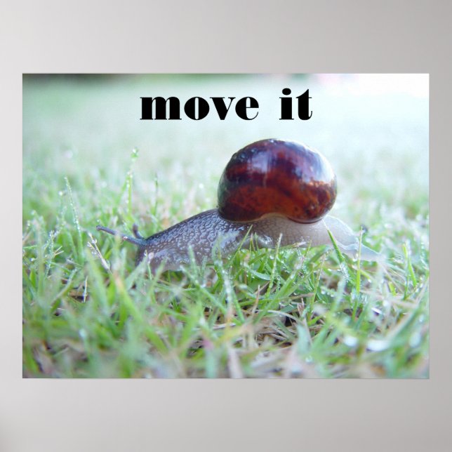 Poster mova-o (Frente)