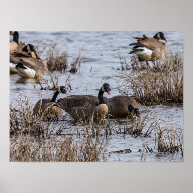 Poster Movendo-se para Dentro (Frente)