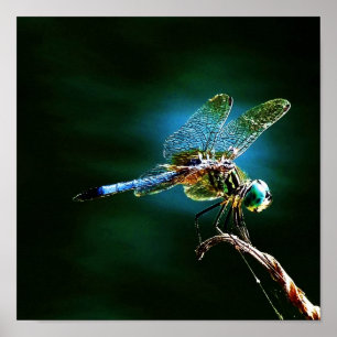 Póster Movendo-Se Rápido Enquanto Permanece Em Pé