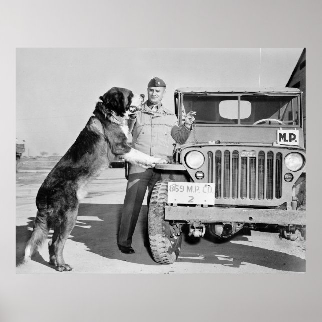 Póster MP Mascot: 1942 (Frente)