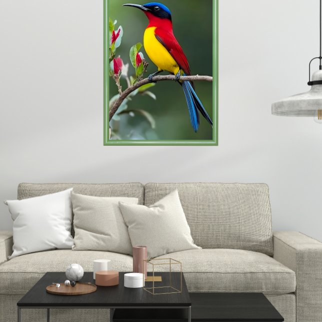 Poster Mrs. Gould's sunbird  (Criador carregado)