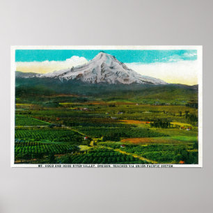 Póster Mt. Capa do rio de Hood River ValleyHood, OU