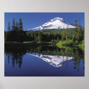 Póster Mt. Hood E Um Lago Espelho