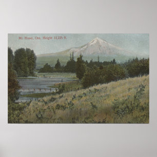 Póster Mt. Hood, Oregon - View of Mountain from Hood 2