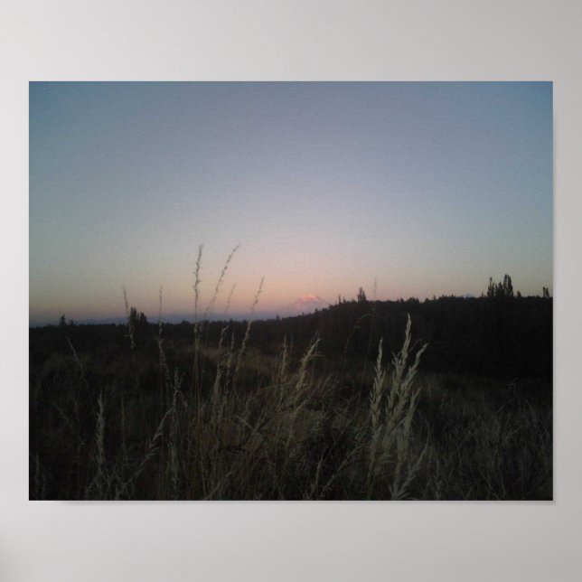 Póster Mt Rainier. (Frente)