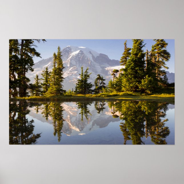 Poster Mt. Rainier refletido em uma chuva perto do Pico d (Frente)