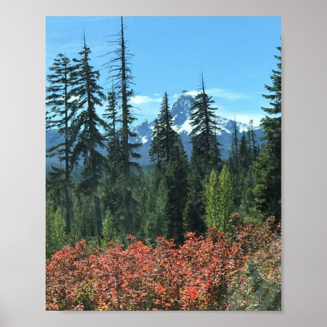 Poster Mt. Washington no outono, OR (Frente)