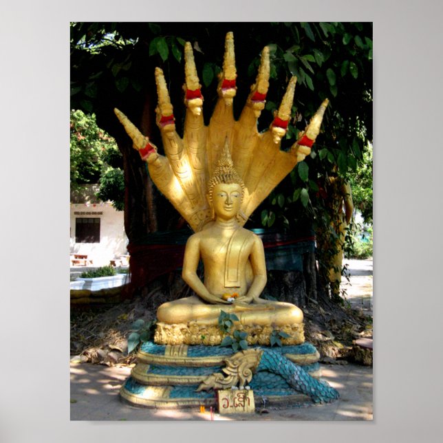 Poster Mucalinda (Frente)