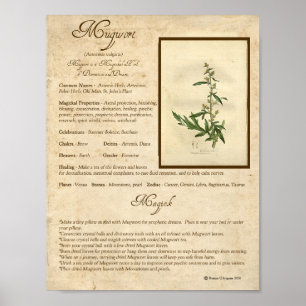 POSTER MUGWORT MAGICK HERB