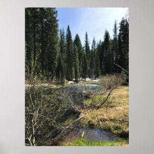 Poster Muir Creek, Oregon
