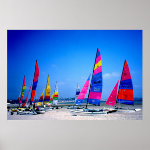 Póster Muitos barcos de navigação de Hobie no jérsei