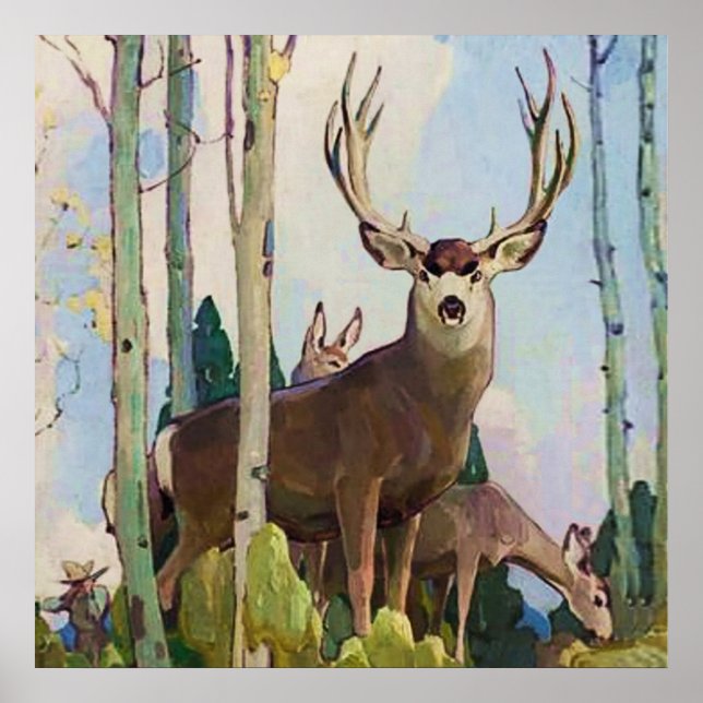 Poster “Mule Deer Buck e Doe” por W Herbert Dunton (Frente)