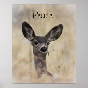 Póster Mule Deer Fawn