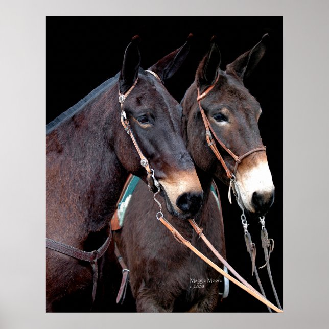 Poster Mule Twosome (Frente)