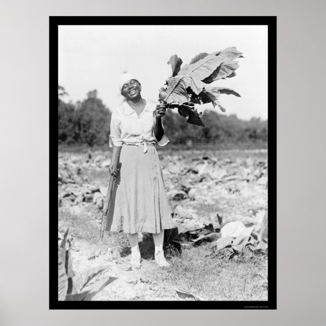 Poster Mulher afro-americana com cigarro 1912 (Frente)