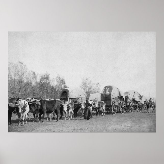 Póster Mulher com Comboio Ox segura fotografia chicote (Frente)