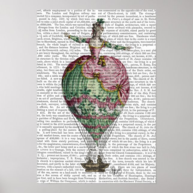 Poster Mulher do Balão de Ar Quente (Frente)