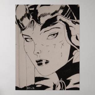 Poster Mulher do gato