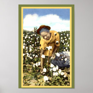 Poster Mulher preta do campo do algodão do vintage de